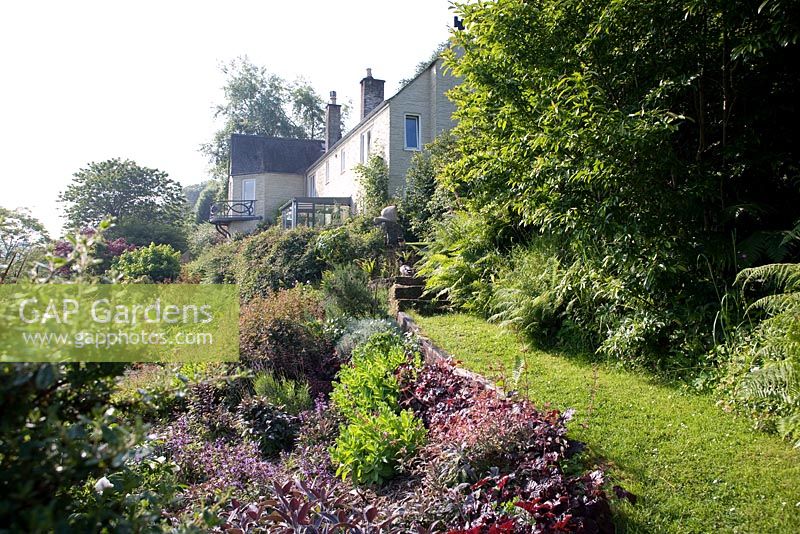 Bridget McCrum's garden at Hamblyn's Coombe, Devon