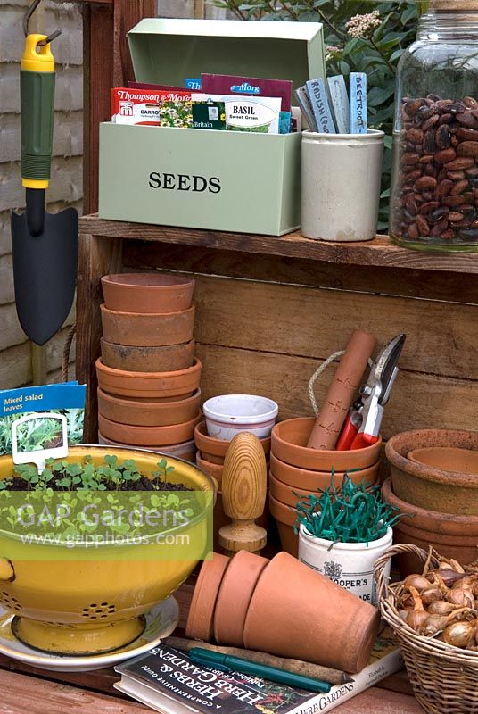Seedlings in old collander, terracotta pots and other sundries in corner of greenhouse