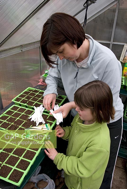 Mother and daughter looking for the correct plant label for Leek 'Lyon Prizetaker' before sowing the seeds in trays in a greenhouse in early Spring