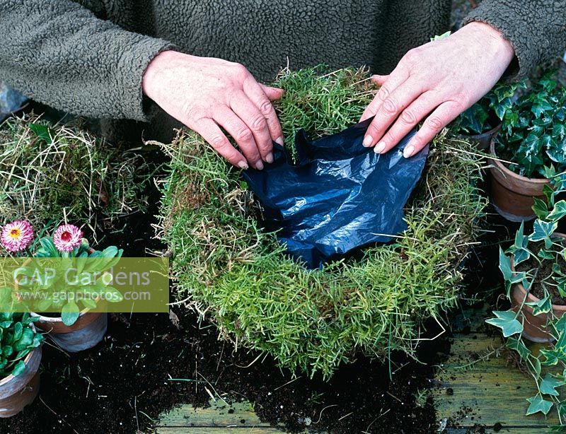 Step 2 of making a spring hanging basket - Plastic liner added to moss to help retain moisture