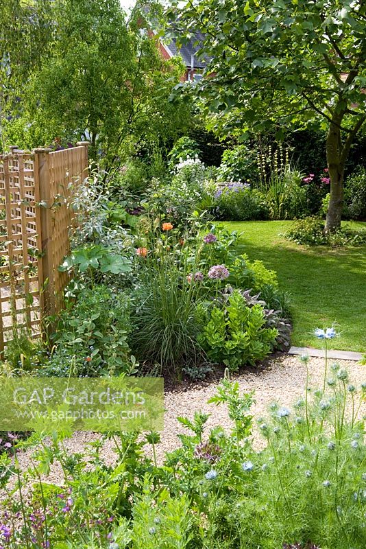 Looking down the garden from the gravel area. Trellis screen at back of border dividing the garden from the car parking area and Liriodendron tulipifera in the lawn - Eldenhurst