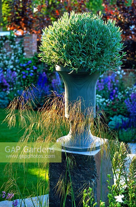 Stone urn on plinth planted with Santolina - The Merrill Lynch Garden RHS Chelsea Flower Show 2003. Silver-Gilt Flora