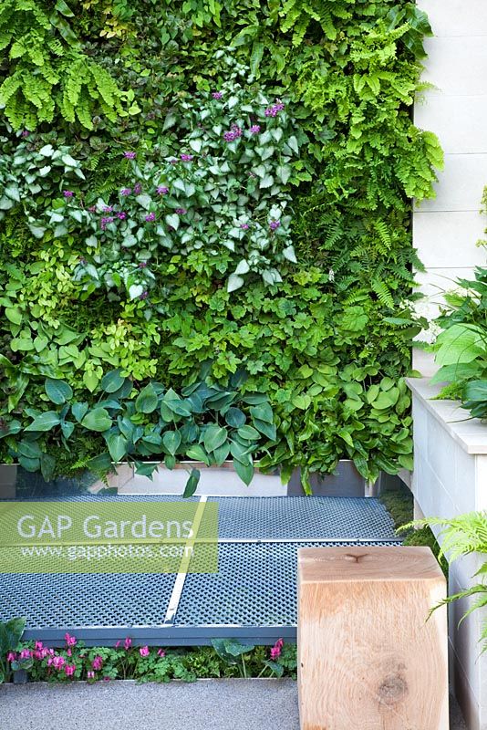 A vertical planted living wall above a walkway of metal mesh in The Eco Chic Garden, sponsored by Helios - Gold medal winner for Best Urban Garden at RHS Chelsea Flower Show 2009