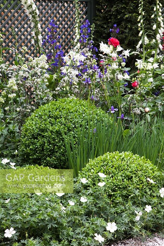 Border with Buxus, box balls and cottage planting - Entente Cordiale, A Touch of France Garden, sponsored by Bonne Maman, Clarke and Spears Clarke and Spears International Ltd, The English Garden Magazine - Silver-Gilt Flora medal winner for Courtyard Garden at RHS Chelsea Flower Show 2009