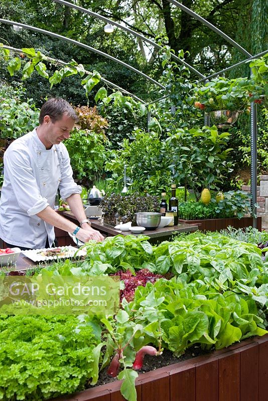Chef Andrew Nutter prepares food in outdoor kitchen using salad leaves and herbs from edible living wall - Freshly Prepped by Aralia, sponsored by Pawley and Malyon, Heather Barnes, Attwater and Liell - Silver Flora medal winner for Courtyard Garden at RHS Chelsea Flower Show 2009 
