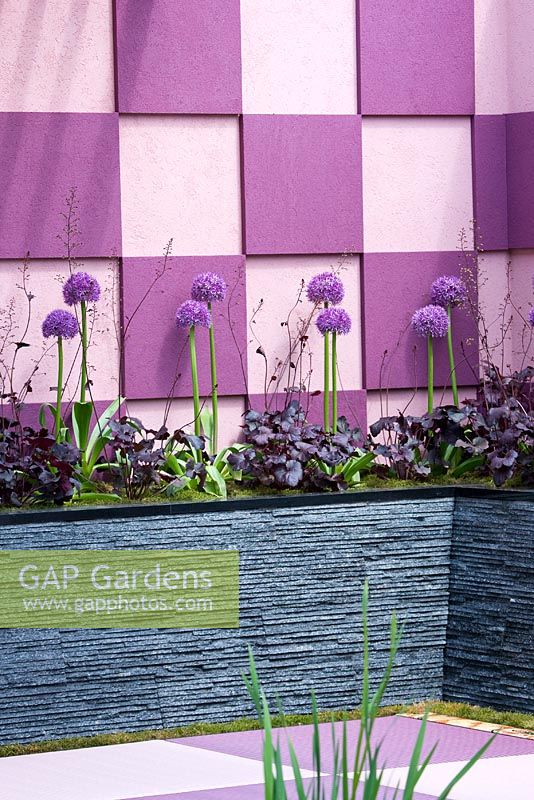 Formal planting of Alliums and Heuchera against mauve and pink wall tiles - A Japanese Tranquil Retreat Garden, sponsored by Sekisui Exterior Co Ltd - Silver-Gilt Flora medal winner at RHS Chelsea Flower Show 2009