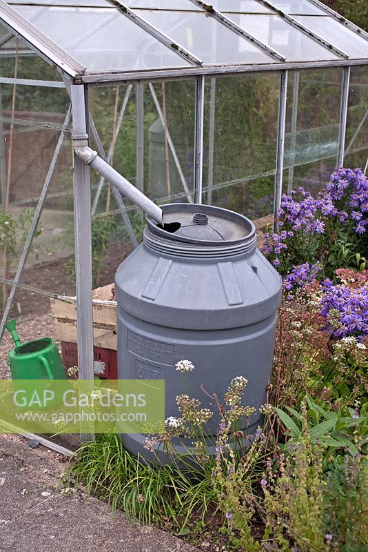 Water butt on greenhouse