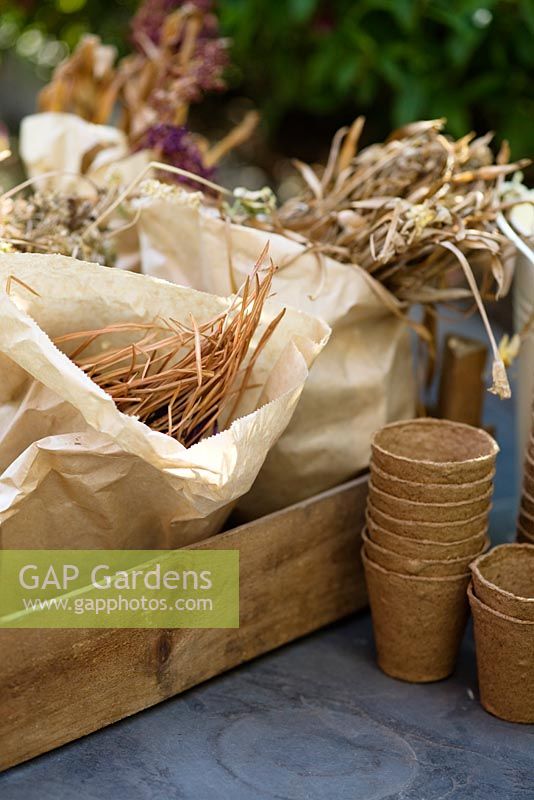 Anemone, hyacinth, narcissus and muscari bulbs sorted into brown paper bags for storing