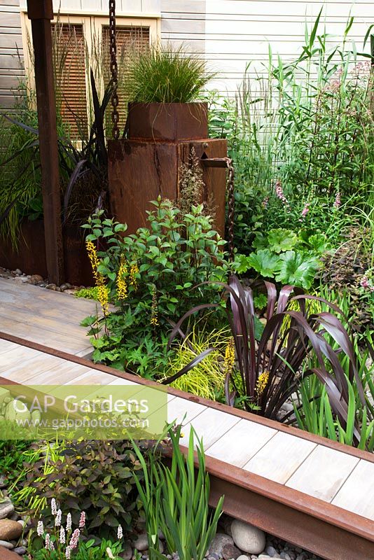 Detail of planting including Arundo donax, Calamagrostis x acutiflora 'Karl Foerster', Carex elata 'Aurea', Darmera peltata, Deschampsia cespitosa, Eupatorium purpureum, Ligularia dentata 'Britt Marie Crawford', Ligularia przewalskii, Lysimachia, Lythrum, Persicaria affinis 'Superba', Phormium tenax 'Dusky Princess' and Spartina pectinata 'Aureomarginata' in 'The Rain Chain' sustainable garden at RHS Hampton Court Flower Show 2009