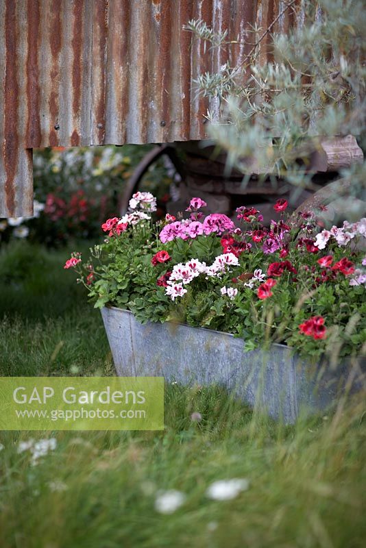 'Pastures Bye'. Sponsors - Southend-on-Sea Borough Council - RHS Hampton Court Flower Show 2009