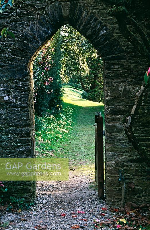 Caerhays Castle Gardens, St Austell, Cornwall. View through archway in wall that runs up the hill from the castle. Primorses in grass beyond.