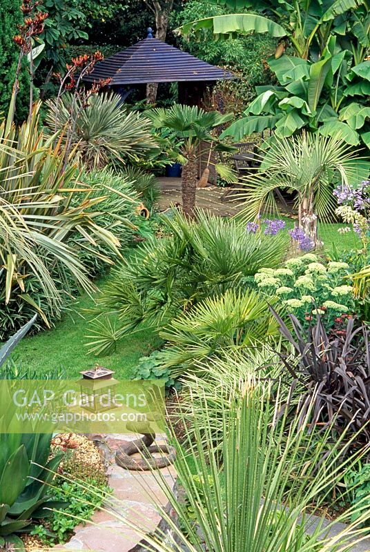 View over middle of garden. Musa basjoo, Phormium tenax 'Tricolour', Butia captita, Phormium cookianun 'Platts Black', Sedum spectabilis and Summerhouse - Beechwell House, South Gloucestershire