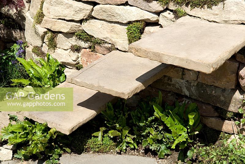 Hardwood steps built into stone wall on split level terrace. 'Merlin's Cave' Silver-Gilt Flora award winning garden - Malvern Spring Show 2009