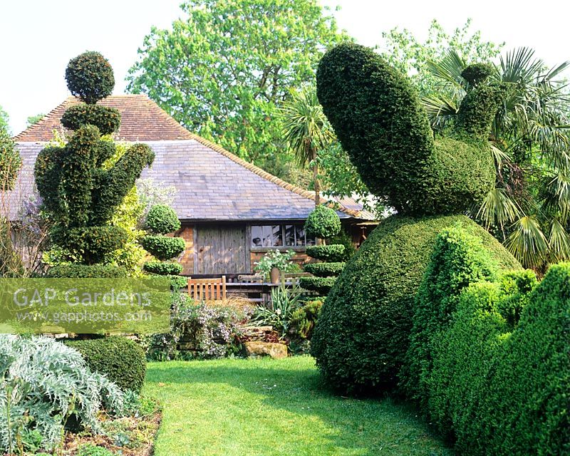 Topiary and view to small seating area - Charlotte Molesworth's garden, Kent