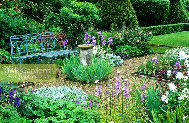 Formal garden with blue painted wrought iron bench, old sundial, gravel paths, roses and planting of Campanula latiloba 'Hidcote Amethyst', Stachys byzantina, bearded irises, Astrantia 'Hadspen Blood' and view to lawns with box hedging and Yew topiary -  Cerne Abbas, Dorset