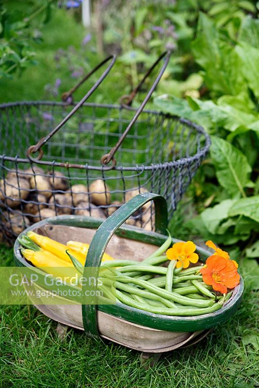 trug and basket of harvested beans, courgettes and potatoes