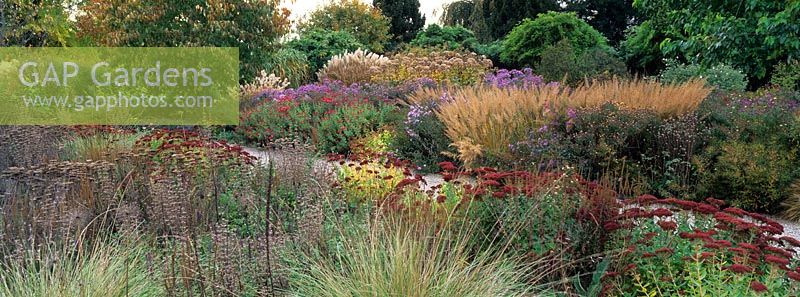 Late autumn border of grasses, perennials and seedheads including Achnatherum brachytrichum, Miscanthus sinensis 'Rotfeder', Eupatorium maculatum 'Atropurpureum', Aster novae-angliae 'Barr's Blue', Aster novi-belgii 'Schöne von Dietlikon', Chrysanthemum indicum 'Oury', Salvia sclarea var. turkestanica, Achillea filipendulina 'Coronation Gold', Phlomis russeliana, Festuca mairei, Verbascum densiflorum, Sedum telephium 'Herbstfreude', Chrysopgon gryllus and Veronica longifolia hybrid - Hermannshof Garden, Germany