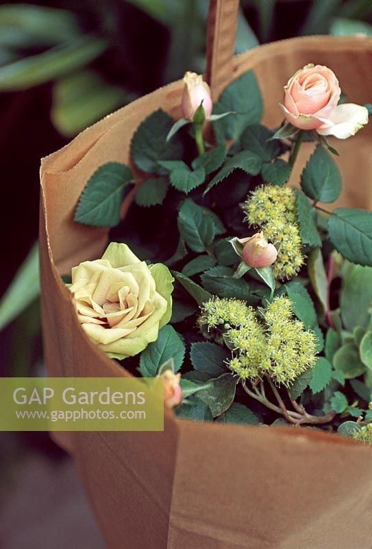 Roses and sedum in brown paper bag