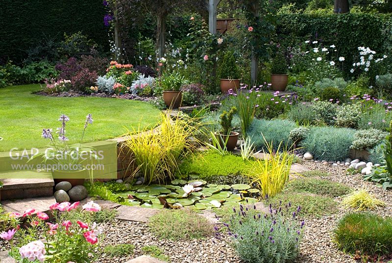 View of secluded back garden with raised lawn, pond planted with Nymphaea - water lily, Iris pallida 'Variegata', Carex elata 'Aurea' and Myriophyllum. Adjacent 'beach area' with Thymus serpyllum 'Coccineus', Lavender 'Hidcote', Dianthus and Osteospermum, and beyond, pergola with Clematis jackmanii 'Superba', Rosa 'Compassion' and purple foliage bed with Cotinus coggygria 'Royal Purple', Berberis thunbergii 'Atropurpurea Nana', Cineraria maritima, Astilbe simplicifolia 'Sprite' Alstroemeria 'Devotion' and Campanula persicifolia alba at Gorse Way, NGS garden, Lancashire