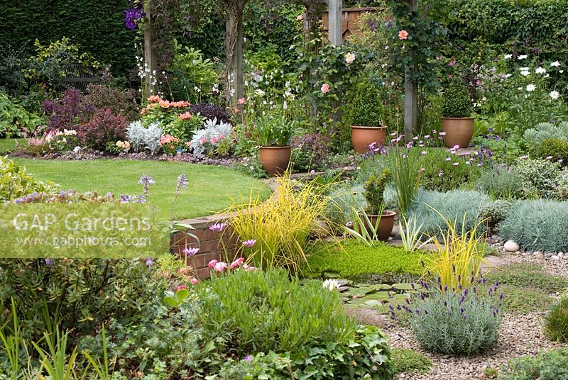 View of secluded back garden with raised lawn, pond planted with Nymphaea - water lily, Iris pallida 'Variegata', Carex elata 'Aurea' and Myriophyllum, with adjacent 'beach area' with Thymus serpyllum 'Coccineus', Lavender 'Hidcote', Dianthus and Osteospermum. Beyond pergola with Clematis jackmanii 'Superba', Rosa 'Compassion' and purple foliage bed with Cotinus coggygria 'Royal Purple', Pittosporum 'Tom Thumb', Berberis thunbergii 'Atropurpurea Nana', Cineraria maritima, Astilbe simplicifolia 'Sprite' Alstroemeria 'Devotion' and Campanula persicifolia alba. Gorse Way, NGS garden, Lancashire