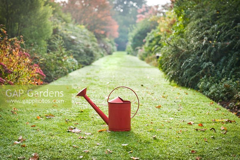 Red watering can on a lawn between two borders in autumn