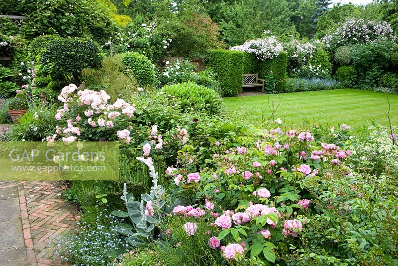 View from terrace to lawn. Looking over ballustrade with Rosa 'Ispahan' and 'Felicia' in the foreground