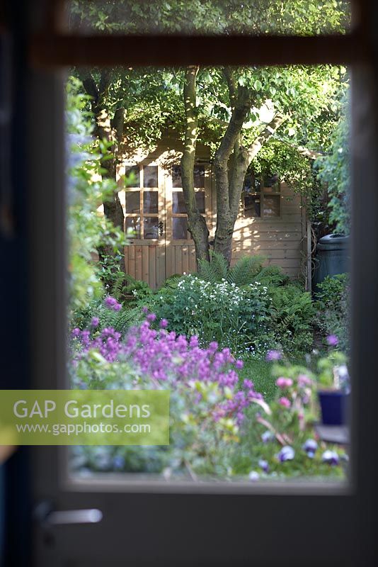 Small London garden viewed through back door showing shed/summerhouse in early Summer sunshine 