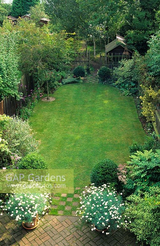 Long narrow town garden divided into sections. Formal design with lawn and box topiary nearest house leading to small woodland garden with group of birch trees and small shed. September