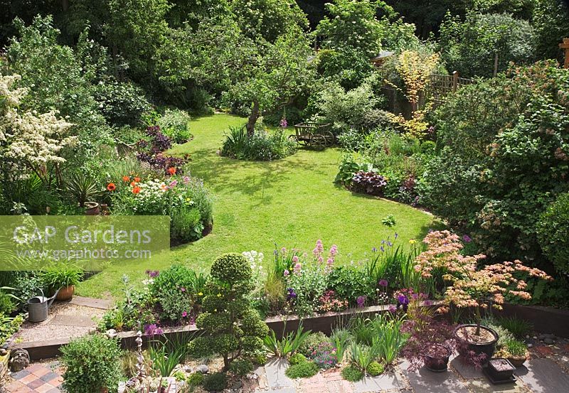 Overview of the garden showing the raised terrace, curving lawn winding between generous beds of mixed planting and central old apple tree.