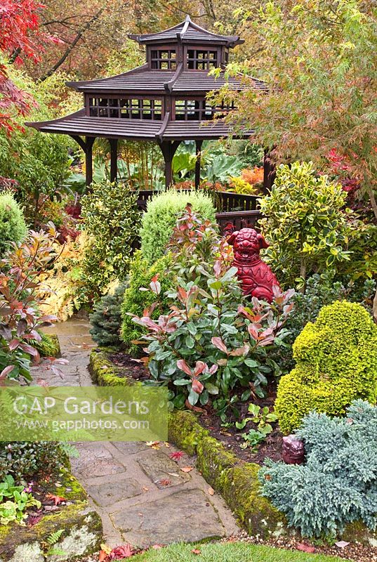 Three tiered Pagoda and Temple Lion in Japanese style garden in autumn with Acers and many deciduous trees, shrubs and conifers grown for their foliage, some showing stunning autumnal tints and hues - Four Seasons Garden NGS, Walsall, Staffordshire 