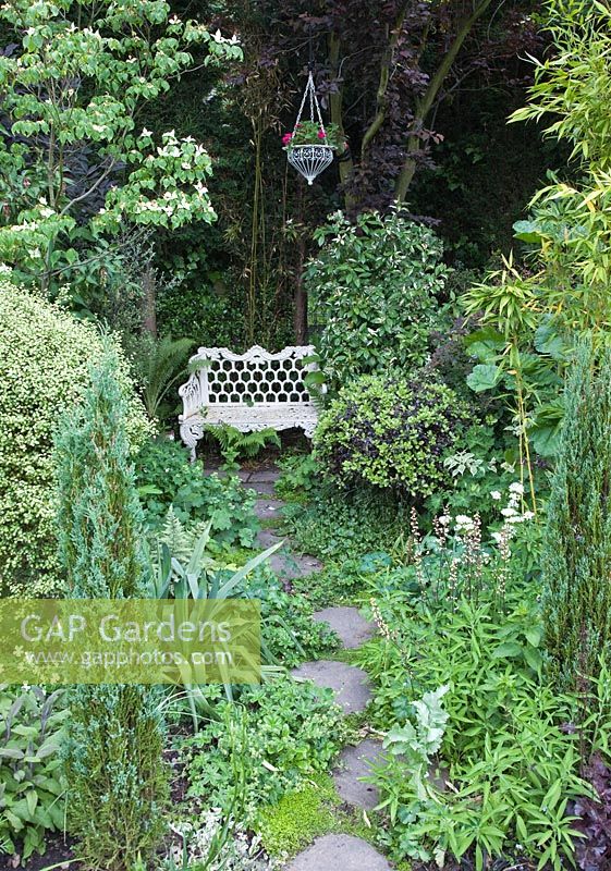 Path leading to seat in a cool and shady spot og the garden in early summer - Dorset House NGS, Staffordshire 