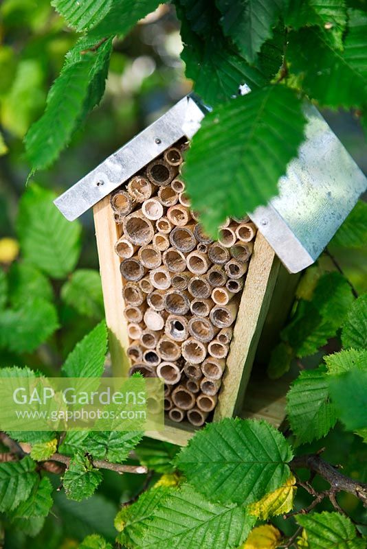 Nestbox for ladybirds and other beneficial insects concealed in foliage