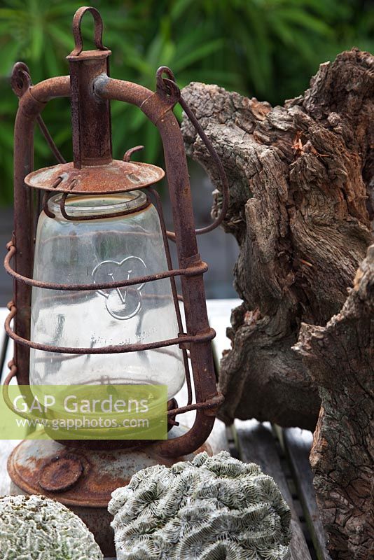 Collection of found objects, coral and bark, with old rusty hurricane
lamp - Roof terrace garden