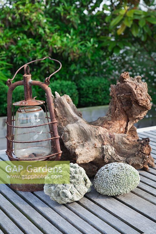 Collection of found objects, coral and bark, with old rusty
hurricane lamp - Roof Terrace Garden