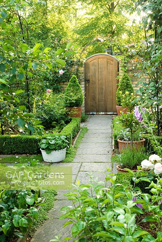 Path to garden gate in formal garden. Box edging, containers - New Square, Cambridge