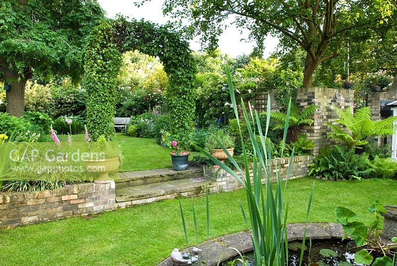 View from lawn across to low wall with hornbeam arch over steps and informal garden with weeping ash tree beyond - New Square, Cambridge