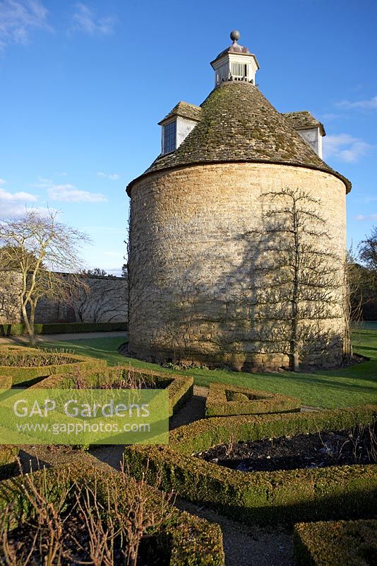 Box parterre with infill of roses and dovecote with espaliered pear tree on the right and a Morello cherry fanned out on the left. The bare tree to the left of the dovecote is a Cornus nuttallii - Rousham in Winter