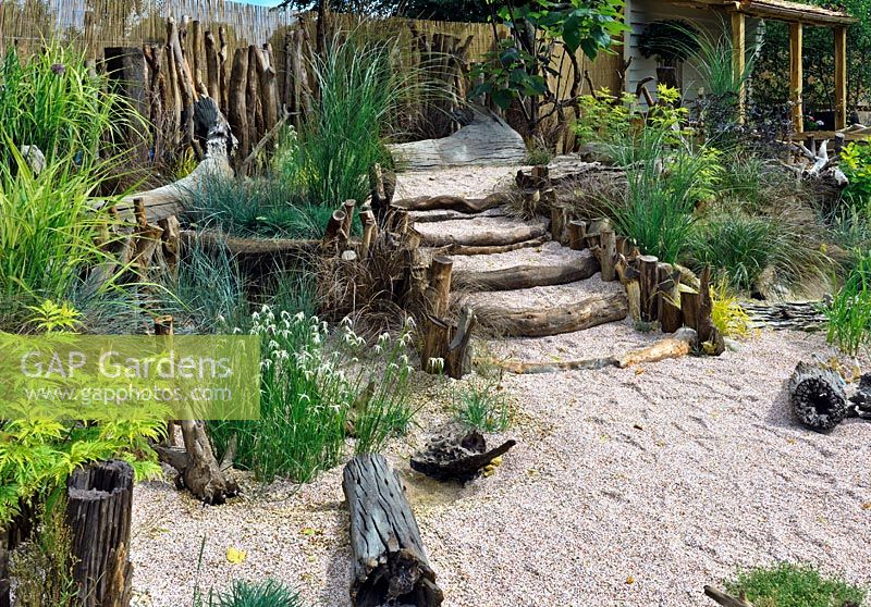 Seaside garden planted with a range of grasses, driftwood steps - HCFS
