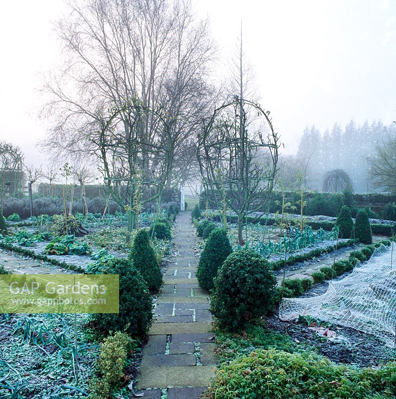 Winter frost covers the symmetrical lines of paths, beds and planting in the potager at Barnsley house, Gloucestershire