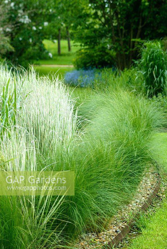 Calamagrostis x acutiflora 'Overdam' in the Hokusai border