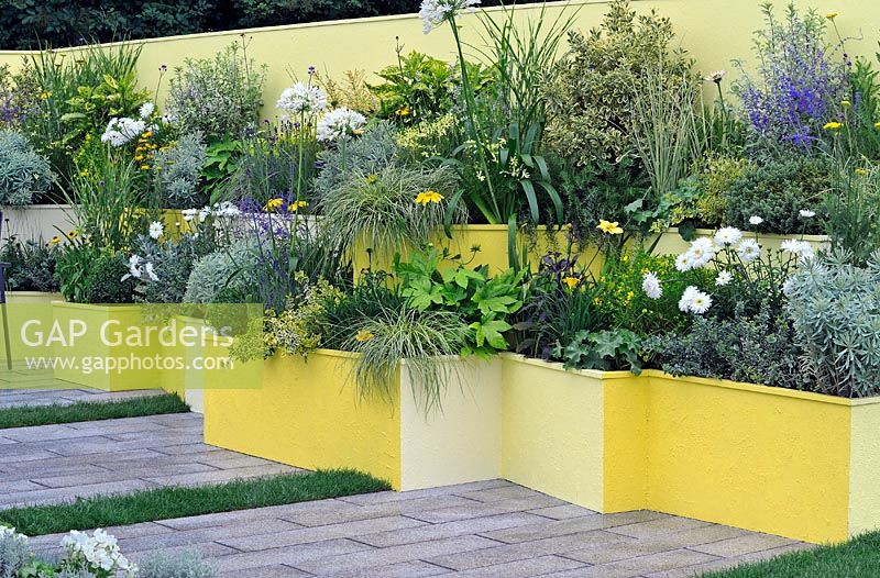 Extensive planting in brightly painted raised beds - RHS Tatton Park Flower show