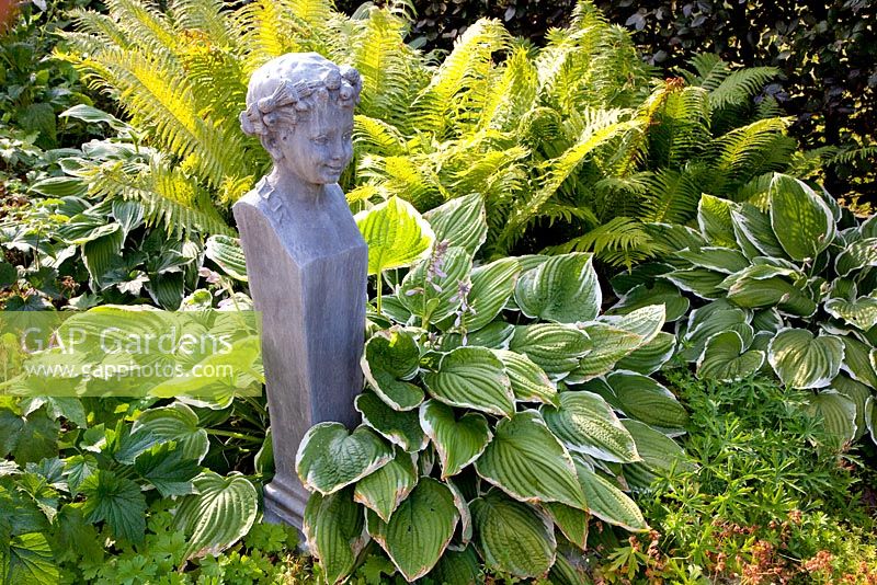 Statue placed in shadey border with Hosta and Matteuccia struthiopteris - Fern