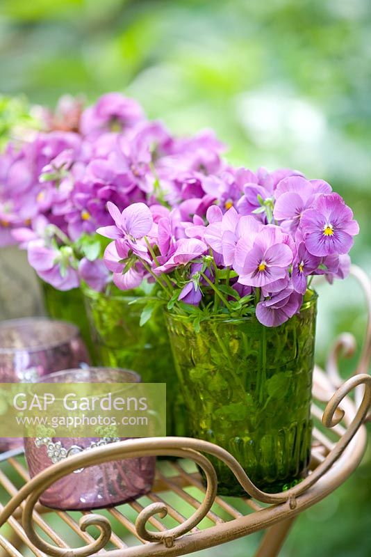 Posies of mauve Viola in decorative green glasses on metal garden table