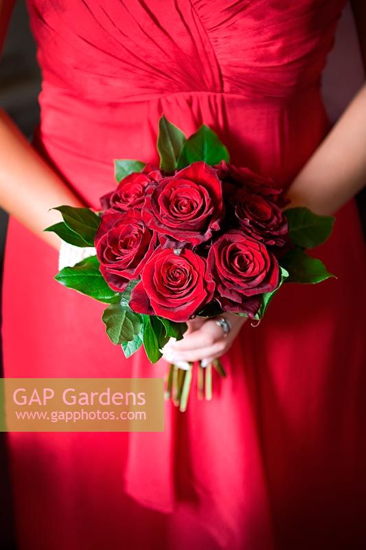 Bouquet of Red roses held by bridesmaid wearing a red dress