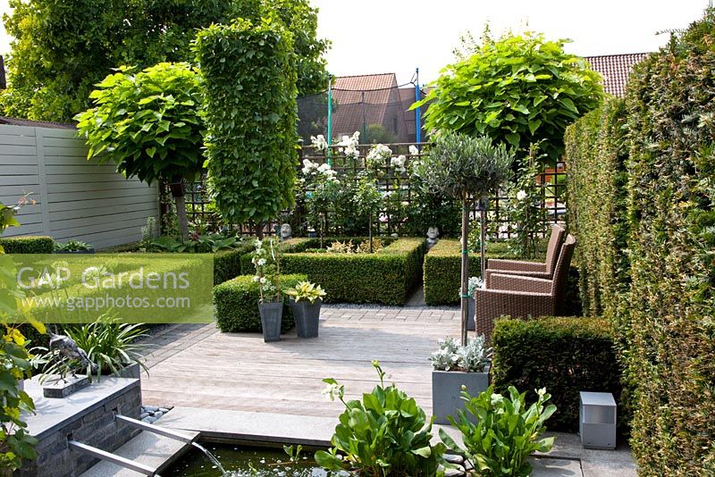 Small formal urban garden with raised pond. Patio beyond with Olea europaea - Olive trees in pots. Carpinus betulus- Hornbeam trees underplanted with clipped Buxus - Box. Catalpa bignonioides 'Nana' tree in background. Taxus- Yew hedge. 