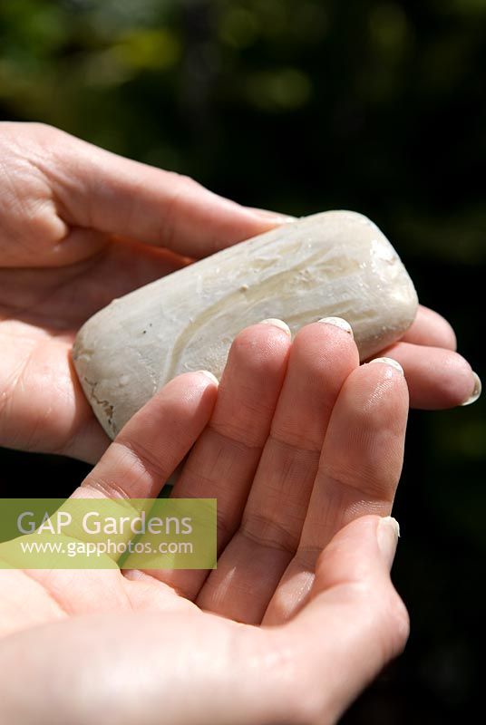 Scraping a bar of household soap before gardening prevents dirt from building up under fingernails and is easily removed with warm water afterwards