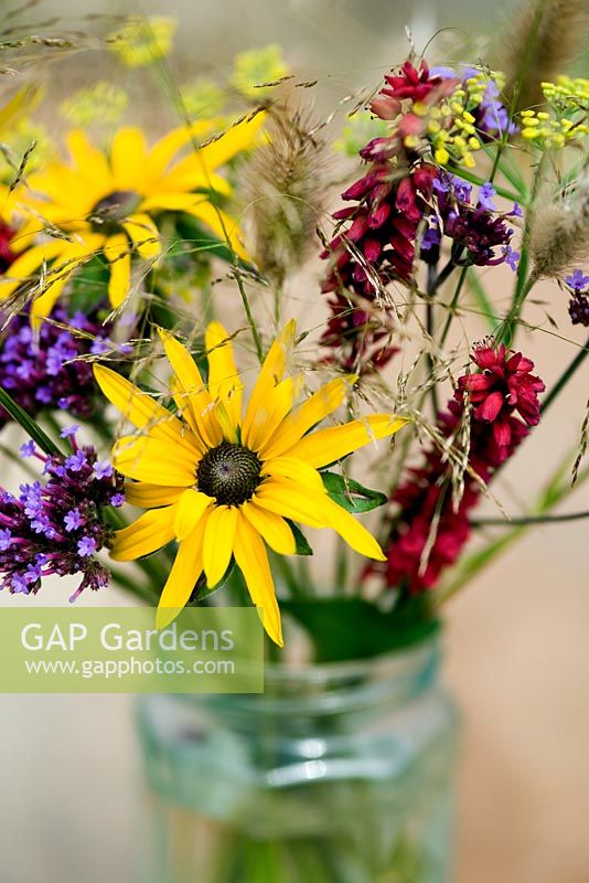 Garden bouquet of Rudbeckia, Verbena bonariensis, Foeniculum vulgare, Persicaria 'Atrosanguinea' Pennisetum 'Red Buttons' and Deschampsia cespitosa