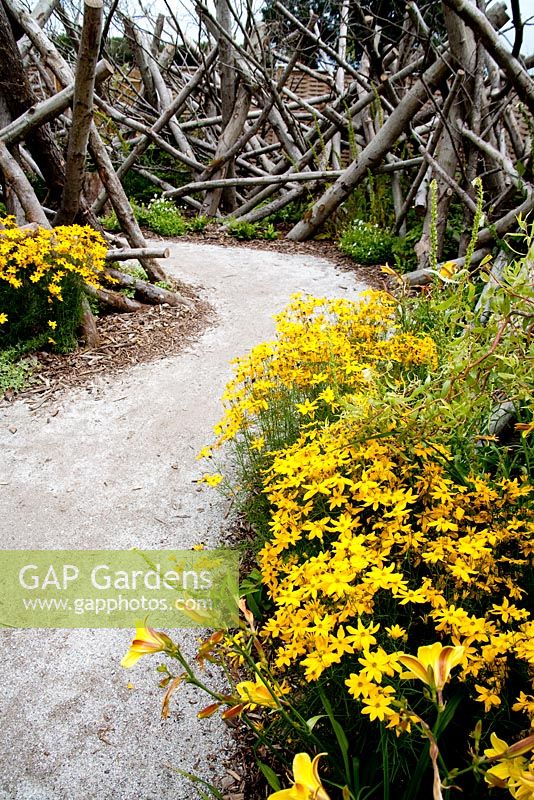 Future gardens, St Albans, Herts. 'The Release Garden' designed by Michelle Wake and Chloe Leaper. Gravel path through borders of Coreopsis grandiflora. Reclaimed log fence.
