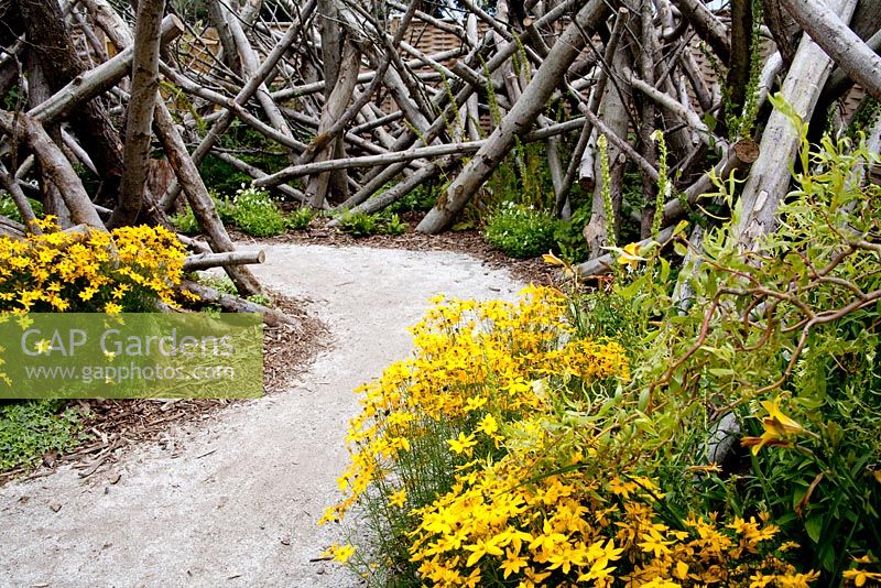 The Release Garden with Coreopsis grandiflora and a gravel path with log fencing - Future gardens, St Albans, Herts 