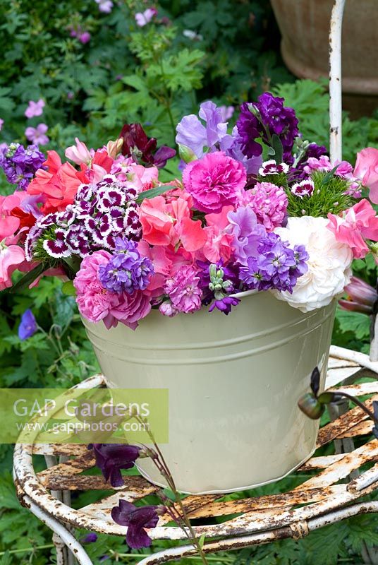 Cream bucket filled with scented summer flowers - Mattiola incana, Dianthus barbatus, Lathryus odorata on vintage chair
